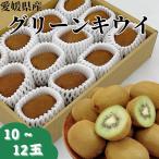 愛媛県産　キウイフルーツ　秀品　10〜12玉　国産