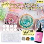 [Ailes(エール)] レジンモールド セット レジン液 ハードタイプ シャカシャカレジンが作れる 5セットPPシート付 大容量 (100g液withモールド)