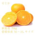 ショッピングせとか せとか おいしい みかん 愛媛 中島産 フルーツ 柑橘 家庭用 5kg 送料別