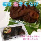 岐阜県 / 送料無料 きくらげ本舗三善の福耳 生きくらげ500g 国産 岐阜県 キャッチ 健康 血行促進 ダイエット 中華 和食 洋食 食材