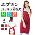 エプロン おしゃれ 大きいサイズ かぶるだけ 防水 黒 保育士 ワンピース メンズ ワークエプロン カフェ