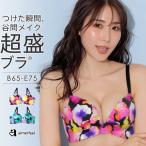 盛りブラ 超盛ブラ ブラジャー 下着 レディース 女性 盛れる 盛ブラ 谷間 盛れるブラ 脇肉 脇高 ブラ 可愛い かわいい下着 超盛りブラ エメフィール 爆買