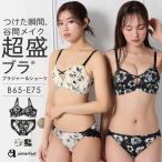 ブラジャー セット アッシュフラワー 超盛ブラ(R) ブラジャー&ショーツ 女性 下着 レディース aimerfeel エメフィール