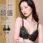 【期間限定クーポン】ブラジャー 単品 レオパードレース 超盛ブラ (R) 単品ブラジャー 女性 下着 レディース aimerfeel エメフィール