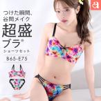 20%OFF �u���W���[ �V���[�c �Z�b�g �A���f�B�t���[�� �����u��(R) �u���W���[&amp;�V���[�c ���� ���f�B�[�X ���� aimerfeel �G���t�B�[��