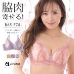 ブラジャー 単品 リノフラワー 脇高ブラ 単品ブラジャー 女性 下着 レディース aimerfeel エメフィール