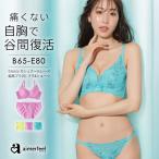 ブラジャー ショーツ セット カシュクールレース 脇高ブラ 下着 レディース 女性 谷間 脇肉 背肉 脇高 脇高設計 ブラセット 補正下着 花柄 エメフィール