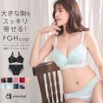 大きいサイズ ブラジャー ショーツ セット 脇高 ブラジャー&amp;ショーツ Fカップ Gカップ Hカップ 下着 レディース 女性 脇肉 背肉 ブ