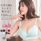 ブラジャー Fカップ Gカップ Hカップ ブラ 大きいサイズ 単品 レースブラ レースブラジャー レース 脇高ブラ 脇肉 脇高 レディース