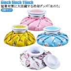 ショッピング氷嚢 氷嚢 野球 アイシング スポーツ アイシングバッグ 氷嚢 2個セット 氷のう 湯たんぽ バスケ アイスバッグ ひょうのう 発熱 ゴルフ 熱中症 アイシ