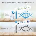 アイテムID:5862383の画像4枚目