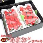 【人気＆厳選 いちご ギフトＦ福岡産 あまおう 2パック】ast3 イチゴ 苺 果物 くだもの フルーツ
