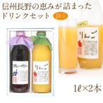 フルーツ ギフト お中元 夏ギフト 父の日【ジュース・ドリンク 2本セット(J2-1)(りんご・ブルーベリー)1L×2本】フルーツ くだもの 果物 内祝