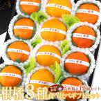 ショッピング甘平 【送料無料】【国産 柑橘 3種 食べ比べギフトセット(12個入) 】柑橘 みかん フルーツ くだもの 果物