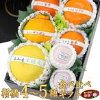 ショッピング甘平 【柑橘 4〜5種 食べ比べギフトセット(6〜8個入) 】柑橘 みかん フルーツ くだもの 果物