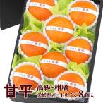 ショッピング甘平 【甘平(愛媛産)Lサイズ 8個入】みかん 柑橘 蜜柑 フルーツ くだもの 果物