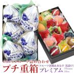 ショッピング重箱 【プチ重箱】 KPJ-5(プチフルーツ15個・水なす 浅漬け・5個)フルーツ くだもの 果物
