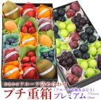 【プチ重箱プレミアム】 FPJ-1(プチフルーツ15個・プチぶどう3〜4種・15個)フルーツ くだもの 果物
