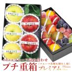 フルーツ ギフト 敬老の日 お彼岸 くだもの 果物 内祝 お祝い 誕生日 お供え 法事 お礼 お見舞い 出産内祝 快気祝い【プチ重箱プレミアム りんご 2種】