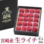 【期間限定40%OFF!指定不可・最短発送】フルーツ ギフト お中元 ライチ 暑中見舞い 果物 内祝 お祝い【宝石箱 厳選★生ライチ】(宮崎産)20個入 国産