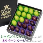 フルーツ ギフト ぶどう くだもの 果物 お供え【宝石箱 シャインマスカット・クイーンルージュ各10粒 1箱20粒入り】
