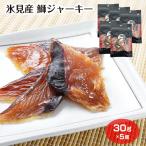 氷見のブリ