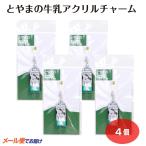 �y���[���ցz�Ƃ�܂̋��� �A�N�����`���[���~4�� �G�� �x�R�� ���y�Y �O�b�Y �����n �`���[�� �L�[�z���_�[ ���[���[����� �v�`�M�t�g �v���[���g