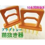  рассада вытащенный контейнер 288 дыра для 