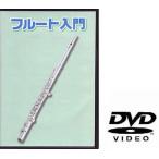 KC KDFL100 флейта для ..DVD/ почтовая доставка отправка * наложенный платеж не возможно 