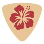 ハイビスカスピック（yahoo）