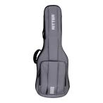 RITTER RGA6-E TGR электрогитара для gig сумка 