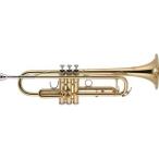 [ Manufacturers 3 year support ]J.Michael TR-200 introduction 7 point set trumpet 