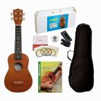 ALAMOANA UK-100G/MH/6点セット (ギヤペグ) 初心者入門 ウクレレ