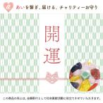 開運石 ランダム 1粒 レビューでチャリティー 募金 パワーストーン 誕生石 協力 愛 愛の力 貢献 慈善 支援 チャリティーグッズ 寄付 開運 パワー 幸運 平和