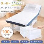 �g���̂� �x�b�h�V�[�c 100���Z�b�g �s�D�z �x�b�h�p�V�[�c �{�p �}�b�T�[�W ���� �G�X�e �T���� �x�b�h�J�o�[ �x�b�h�J�o�[ �Ɩ��p ��e�� �z���C�g ���F ���n