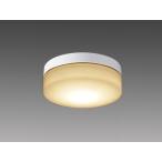 LED照明器具 LED非常用照明器具直付形 EL-WCH0600L AHN 三菱電機(ELWCH0600LAHN)