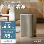 除湿器 単品 除湿 6.5L 空気清浄 モダン 抗菌 コンプレッサー式 HEPAフィルター キャスター チャイルドロック タイマー付 省エネ おしゃれ シンプル グレージュ