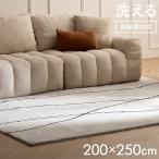 ラグ 洗える カーペット ラグマット おしゃれ らぐ 絨毯 じゅうたん 洗えるラグ 長方形 北欧 シンプル モダン 滑り止め ホットカーペット対応 200×250cm