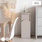 ゴミ箱 30リットル スリム ごみ箱 ダストボックス スイング式 30L 大容量 キッチン リビング 寝室 角型 屋内 アーチ窓 アーチ型ダストボックス Arco〔アルコ〕