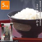 〔お米〕おくさま印 安い  新潟県魚沼 こしひかり 5kg(メーカー直送商品)(11時までのご注文で7営業日以内に発送)タイムセール
