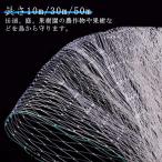  фруктовое дерево для голубь .. длина 10m/30m/50m защита от птиц сеть . бабочка сеть фруктовое дерево культивирование птица . меры .. для .. птица .. сеть прямой .. защита от птиц сеть . бабочка сеть спорт. защитная сетка .