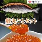 根室・鮭匠ふじい 北海道産・鮭丸ごとセット 産直品 代引き不可 沖縄・離島への配送不可 海鮮ギフト