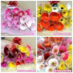 母の日ギフト　ガーベラ花束30本（長さ45ｃ以上）産地直送 【母の日・誕生日・記念日のプレゼントに】