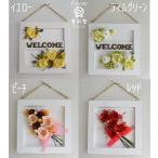  консервированный цветок рама аранжировка белый под старину. рама роза весна цвет подарок ie Rollei m зеленый pi-chi красный 