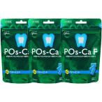 po ska *ef(POs-Ca F)pauchi модель 100g × 3 пакет мята перечная 