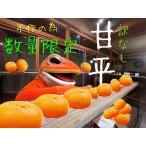 ショッピング甘平 甘平（訳なし）5kg【限定50ケース】