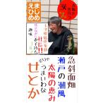 玉津産　せとか【お家用】4k （M〜3L）※1月下旬〜順次発送（産地直送）