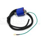 6V отметка зажигание для катушка зажигания [ letter pack почтовый сервис оплата при получении не возможно ]