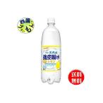 【2ケース】サンガリア　伊賀の天然水 強炭酸水　レモン（1Lペットボトル×12本入）2ケース（24本）