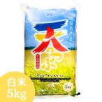 復活記念価格！ 新米 米 お米 5kg 令和7年産 福島県産天のつぶ 白米 5kg(5kg×1袋) 送料無料 お試し (沖縄・離島 別途送料+1100円)
